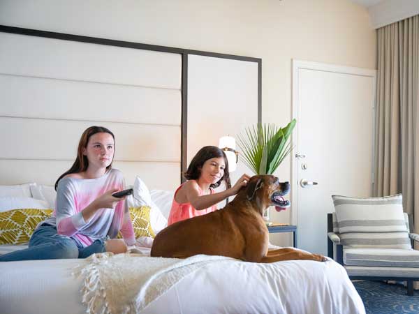 Kids with a dog on the bed.