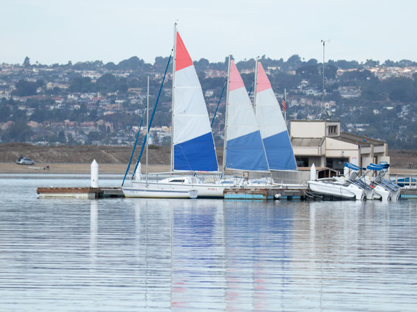 Sailboats.
