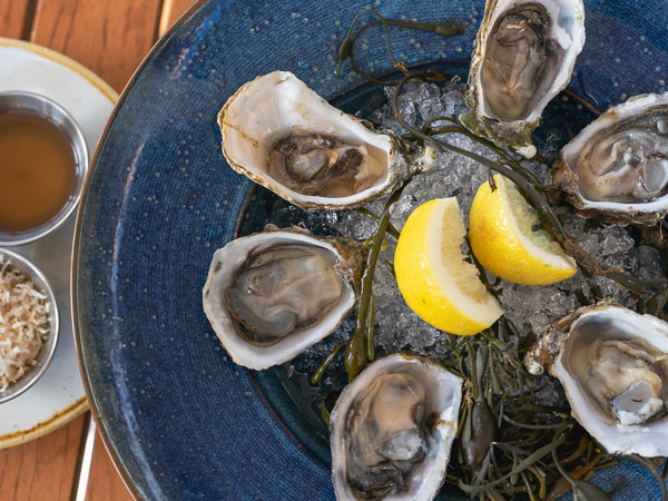 Chilled Oysters