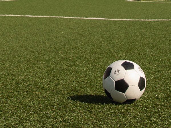Soccer Ball on grass